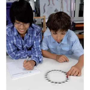 Sistema Campo Magnetico 1 - Immagine 3
