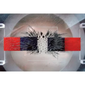 Sistema Campo Magnetico 2 - Immagine 3