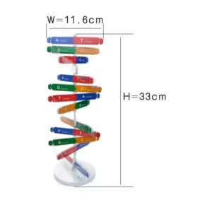 Modellino DNA a doppia elica, in carta - Immagine 2